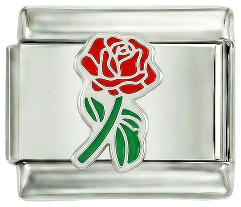 Celá červená růže se zeleným stonkem