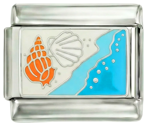 Shells at the Beach on White Sand - shells-at-the-beach-on-white-sand.png