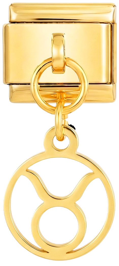 Obrázek slidu