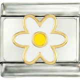 DOPLNIT - Bílá kopretina a její žluté srdce