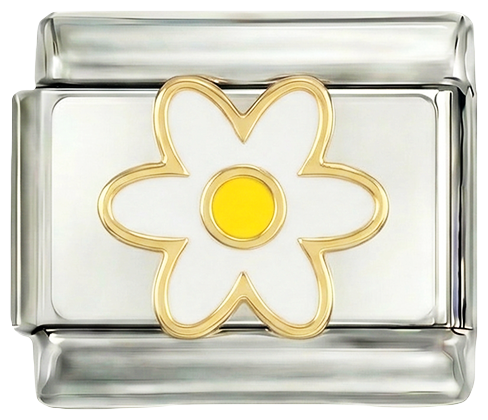 DOPLNIT - Bílá kopretina a její žluté srdce